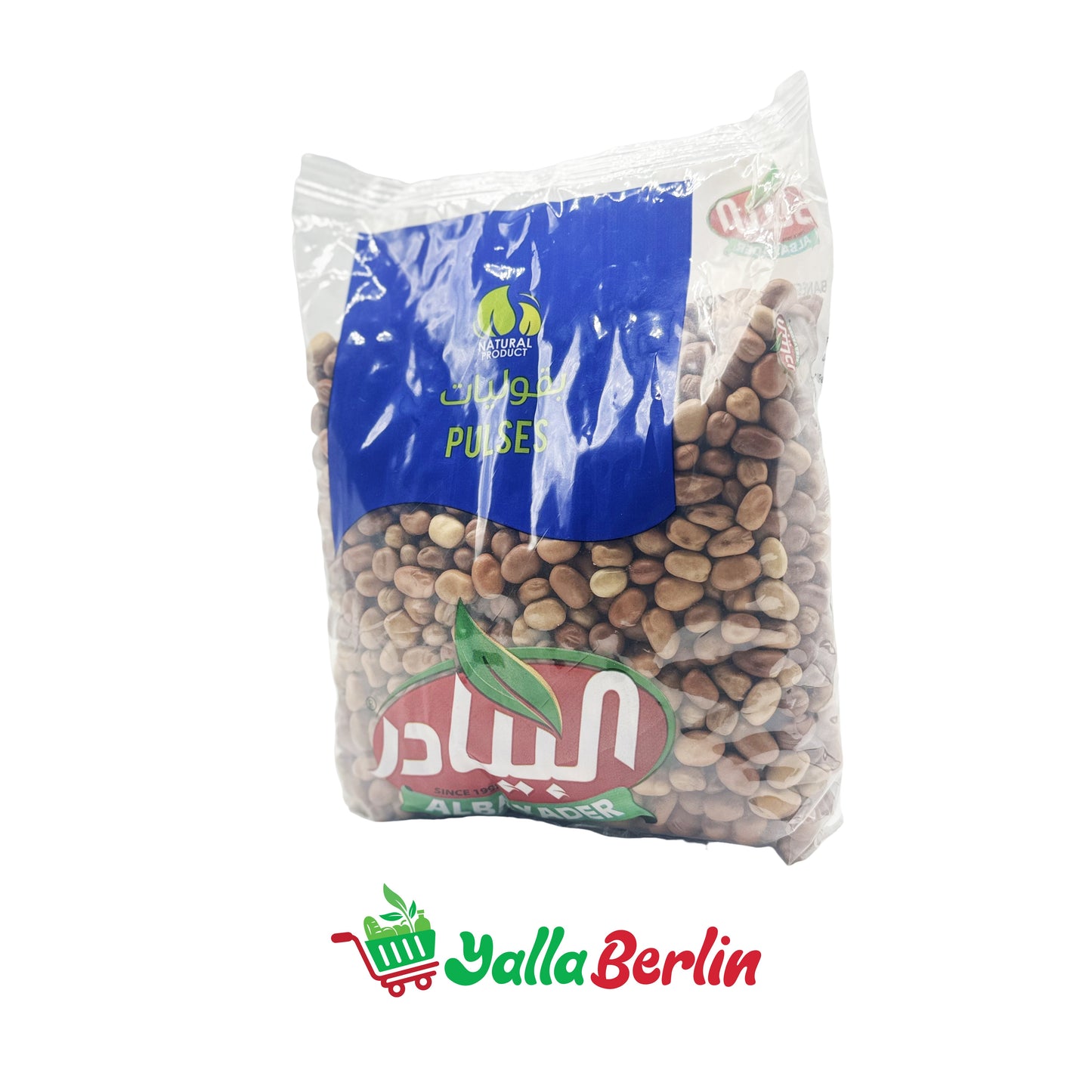 AL BAYADER SAUBOHNEN