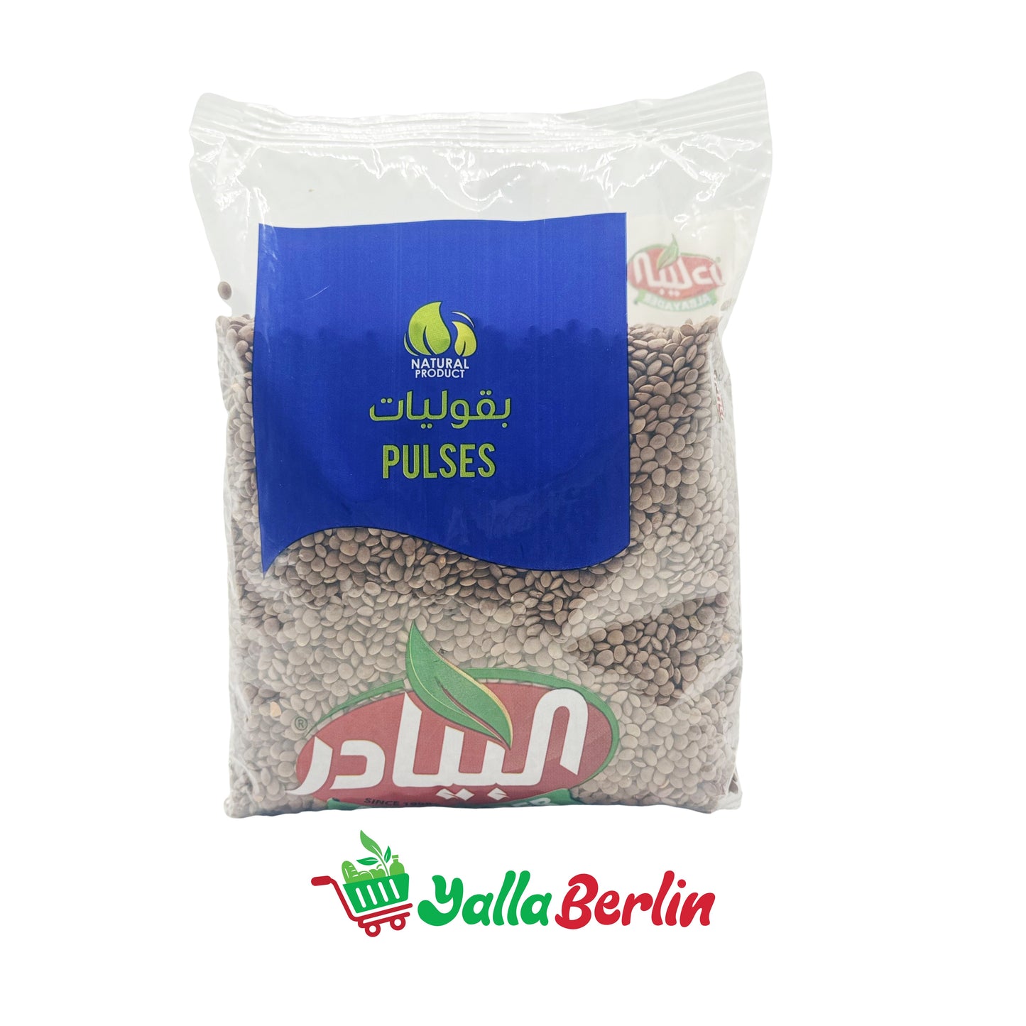 AL BAYADER ROTE LINSEN GANZ
