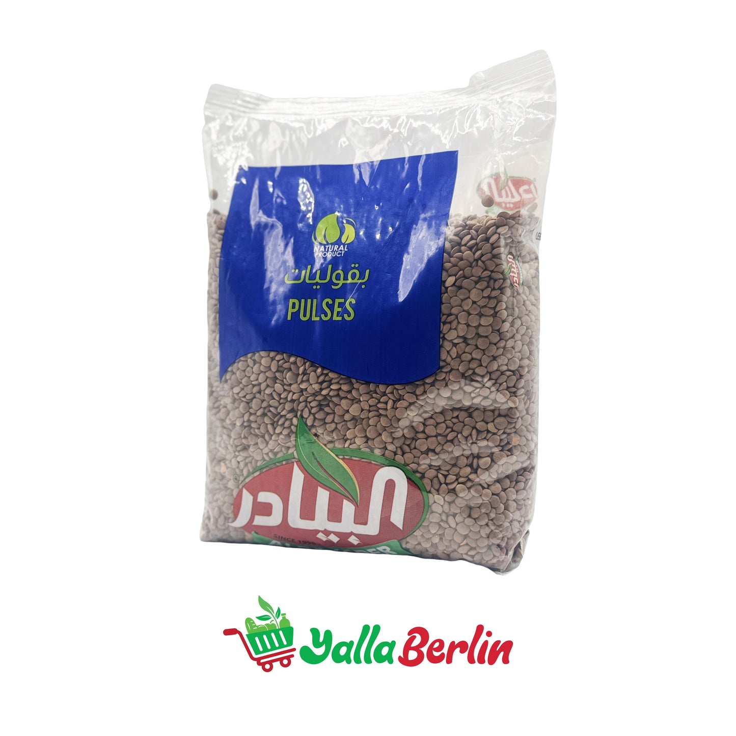 AL BAYADER ROTE LINSEN GANZ