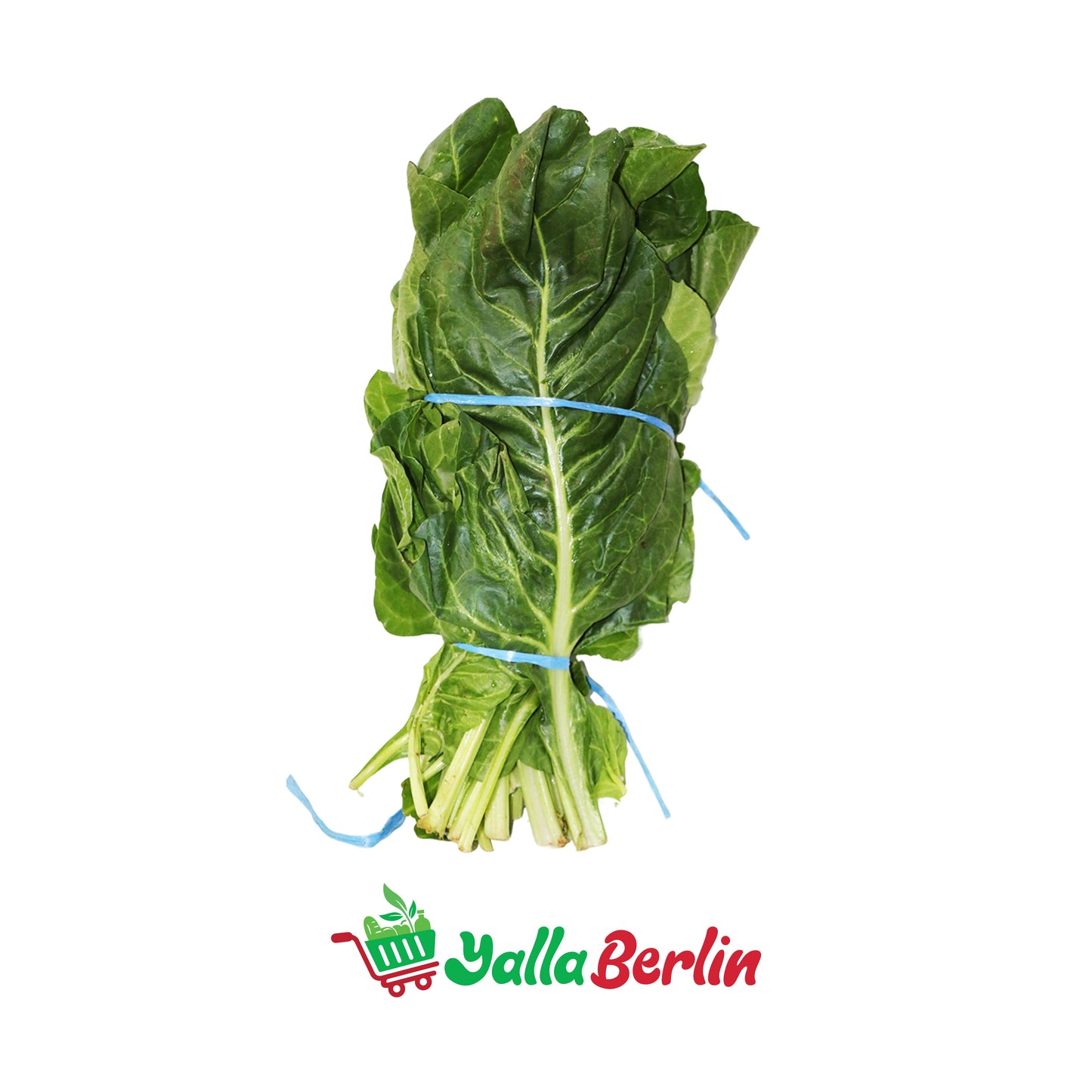 سلق (ضمة)