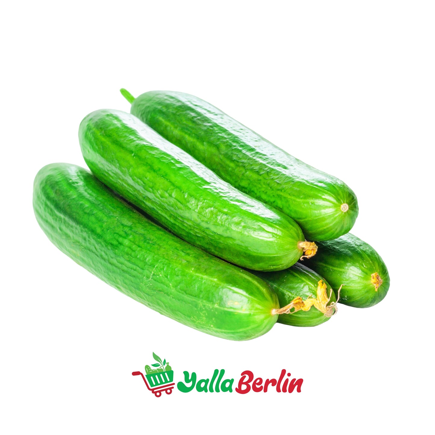 خيار ٥٠٠ غرام