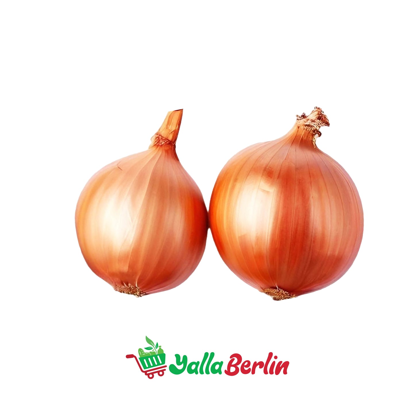 بصل يابس ٥٠٠ غرام