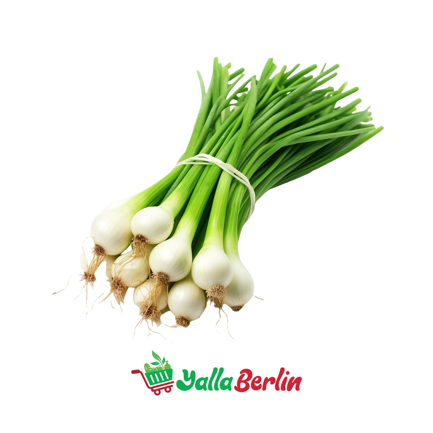 بصل اخضر (ضمة)