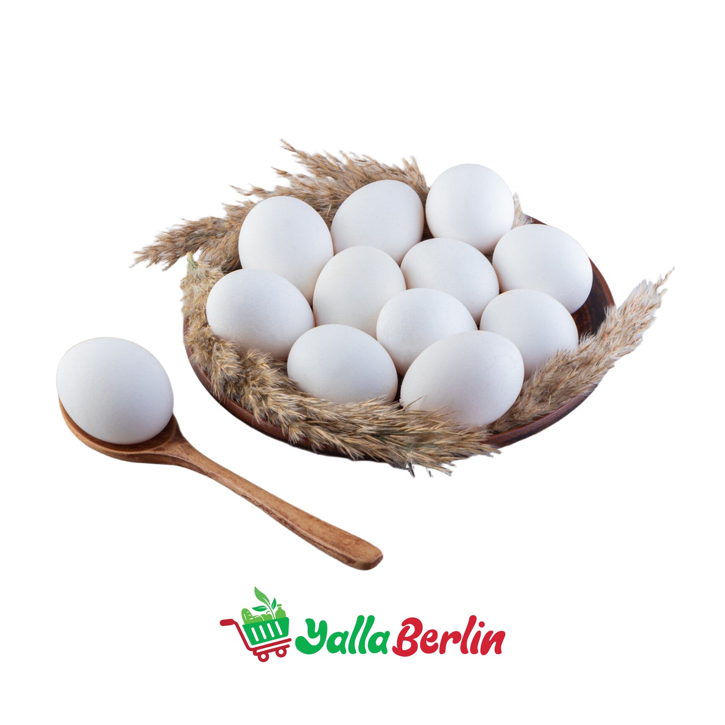 EIER - 10 Stk.