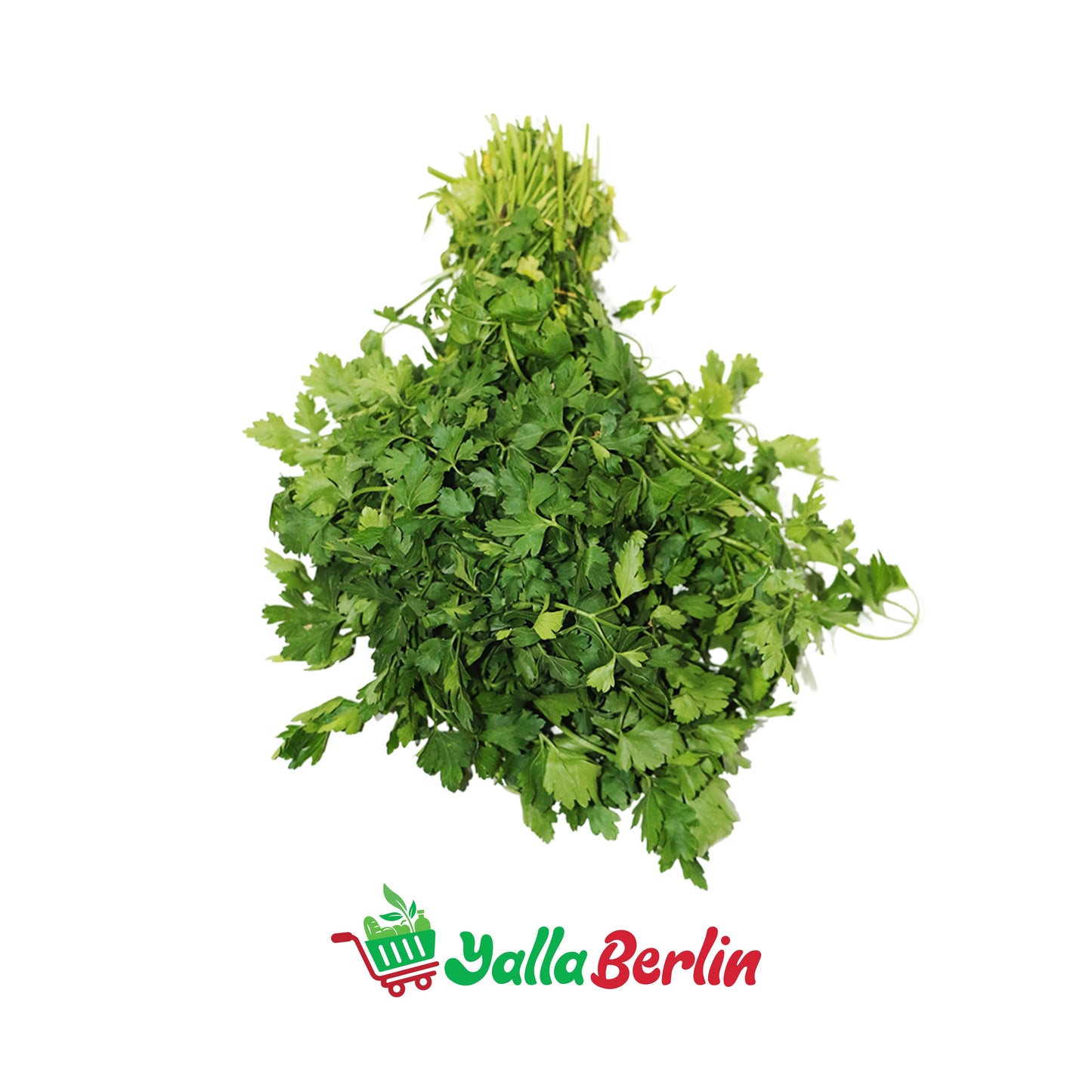 PARSLEY IN THE BUND