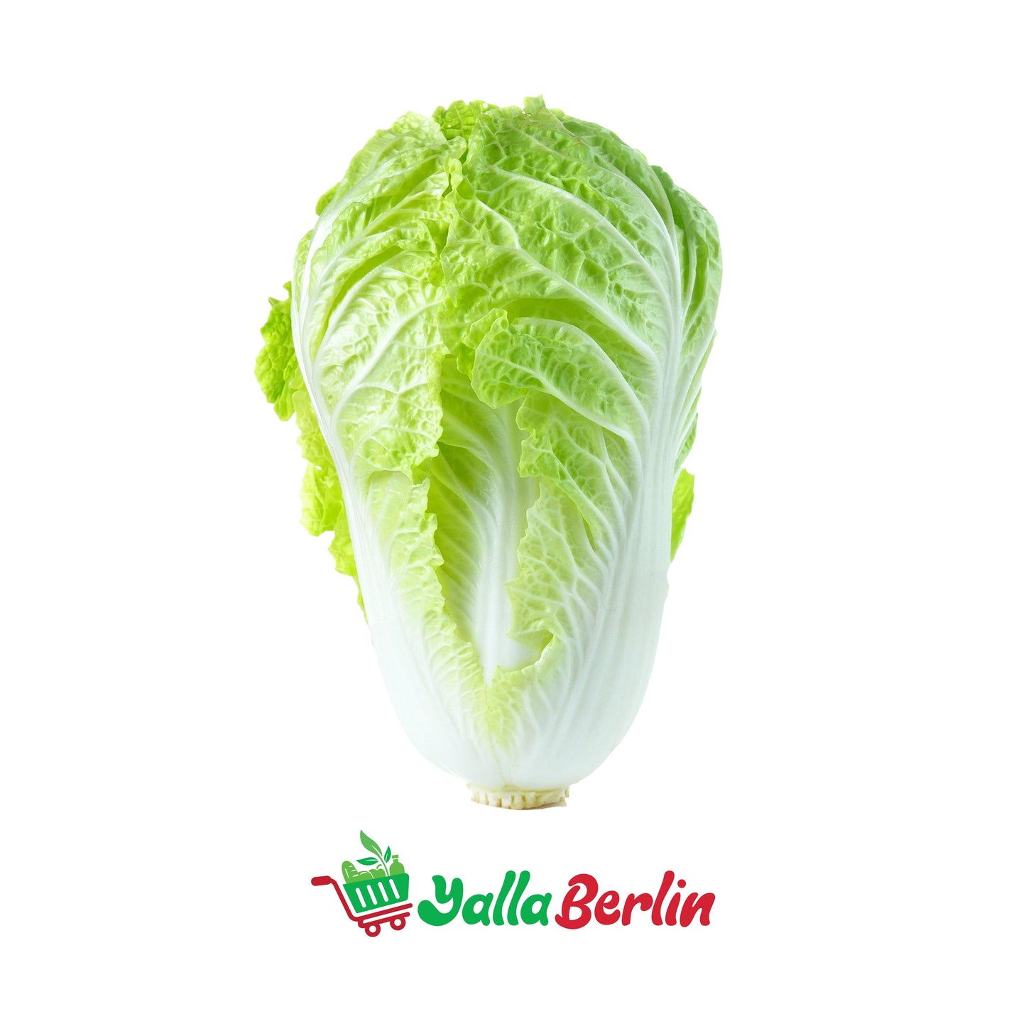 ROMAN LETTUCE (1 PCS.)