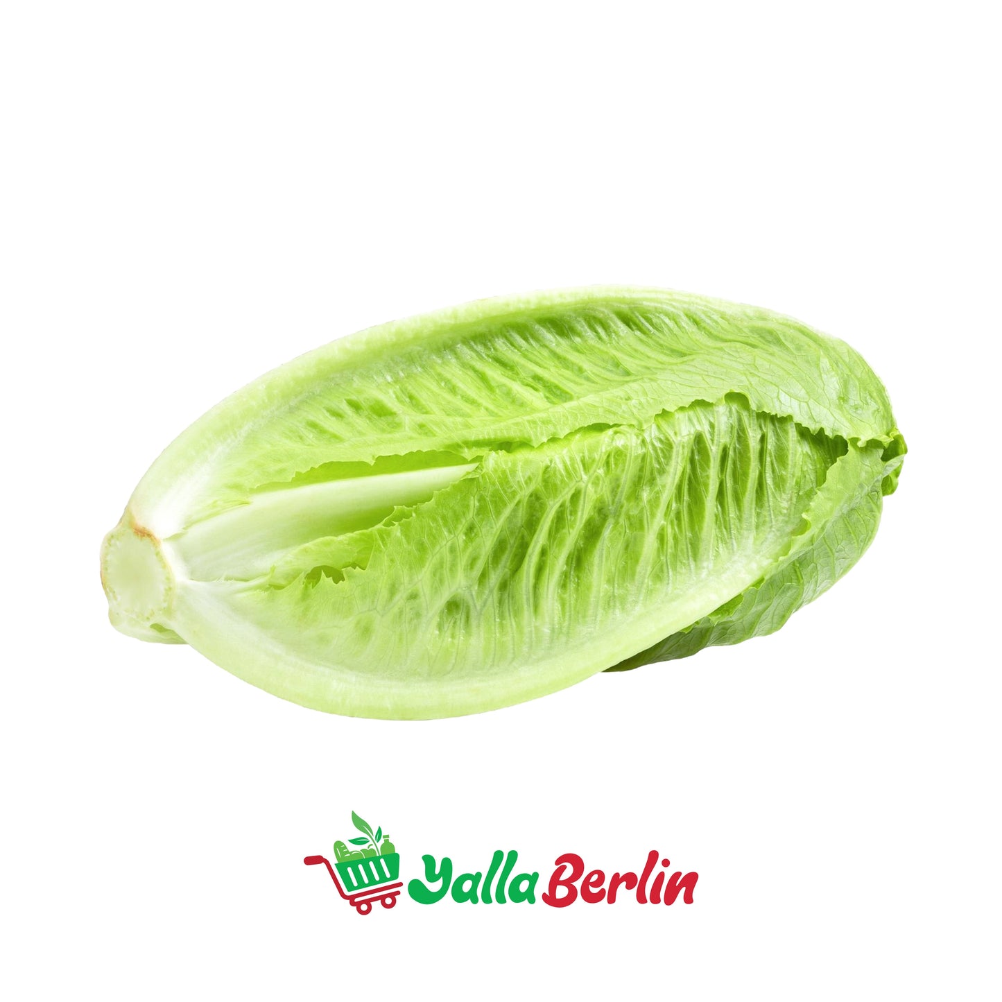 ROMAN LETTUCE (1 PCS.)